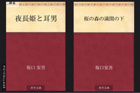{16B8683E-00E9-4A4F-A212-DD5D5272D17F}